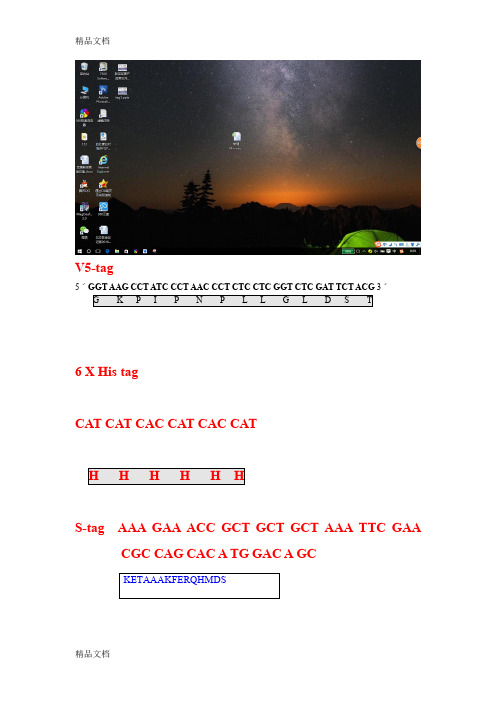 各种标签Tag的核苷酸与氨基酸序列只是分享