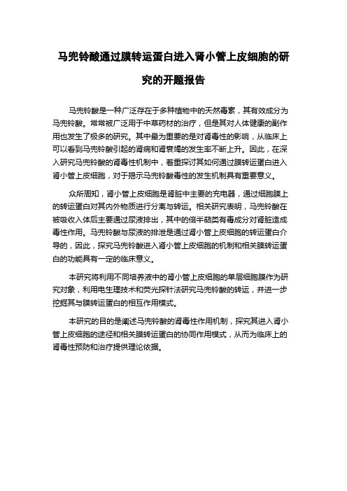 马兜铃酸通过膜转运蛋白进入肾小管上皮细胞的研究的开题报告