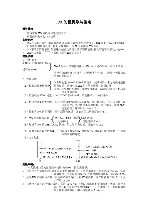 高三生物一轮复习教案：DNA的粗提取与鉴定