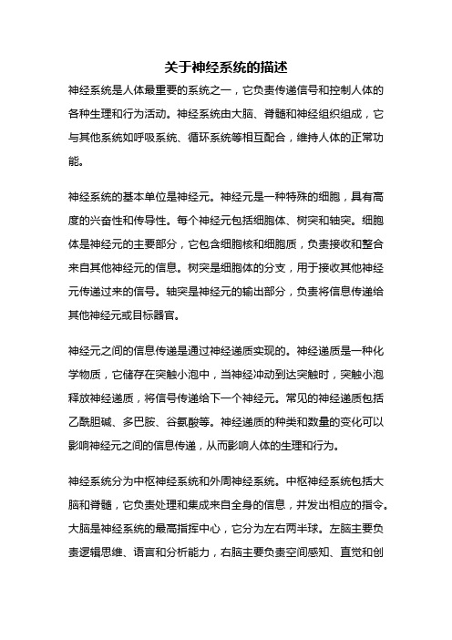 关于神经系统的描述