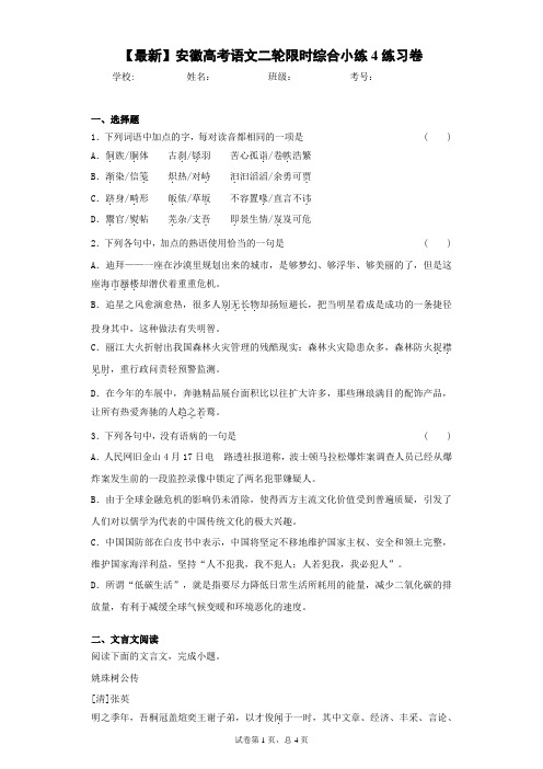 2021届安徽高考语文二轮限时综合小练4练习卷(答案详解)