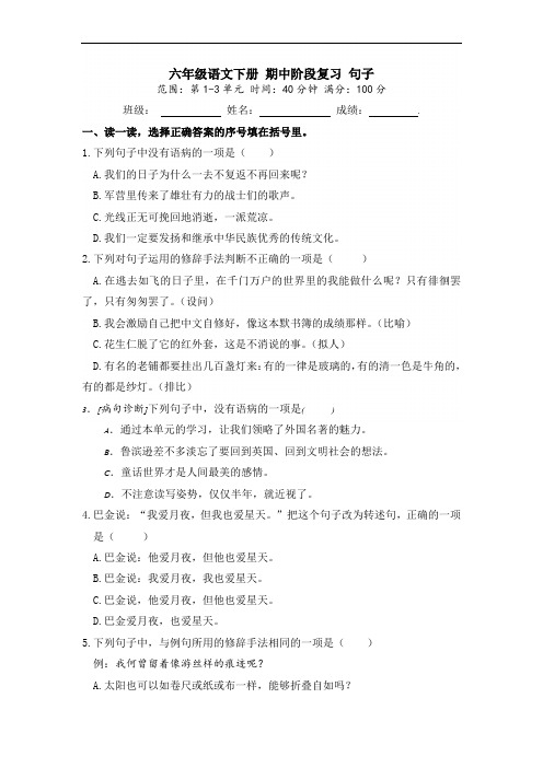 六年级语文下册 期中阶段复习句子(人教部编版 含答案)