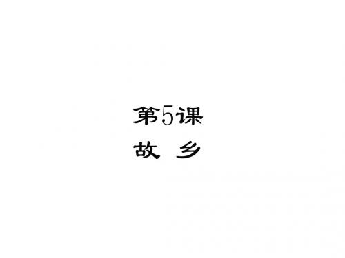 九年级语文上册第二单元5故乡课件苏教版