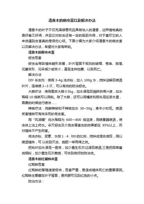 清香木的病虫害以及解决办法