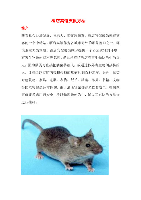 酒店灭鼠方法