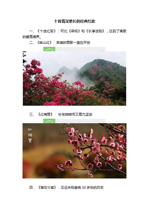 十首情深意长的经典红歌