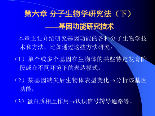 现代分子生物学课件-第六章上课讲义