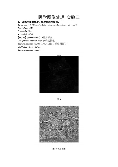 数字图像处理上机实验三