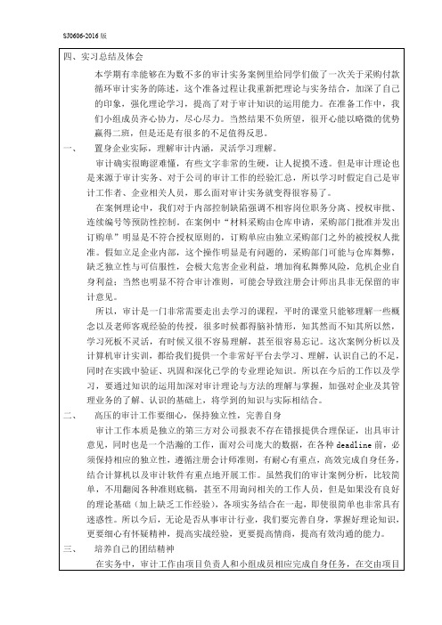 审计案例分析总结,审计实习报告