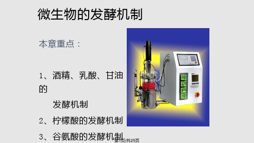 简明微生物工程 发酵机制酒精柠檬酸PPT课件