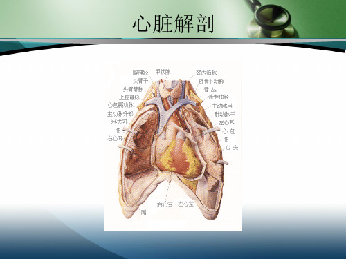 《诊断学基础》教学课件-图解