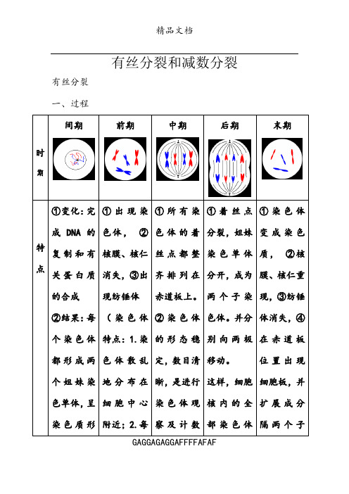 高中生物必修二有丝分裂_减数分裂总结知识点