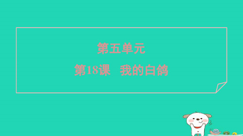 2024七年级语文上册第五单元18我的白鸽课件新人教版