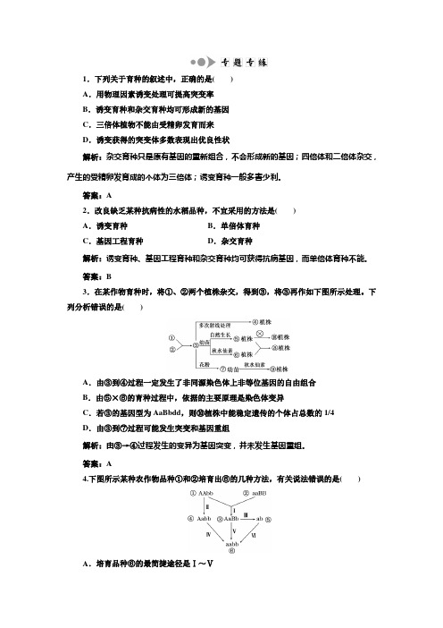 第四章  第四节  小专题 大智慧 专题专练