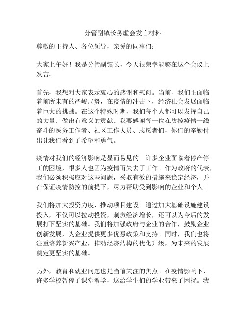 分管副镇长务虚会发言材料