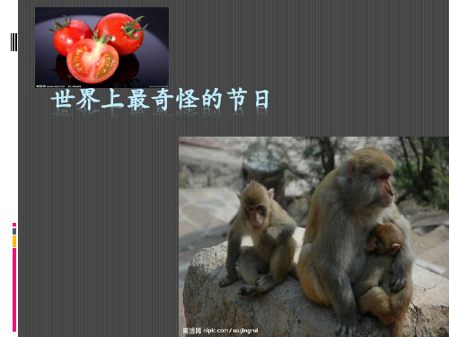 世界上最奇怪的节日