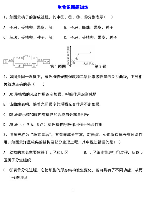 初中生物识图题训练(含答案)给孩子打印出来做做看吧!