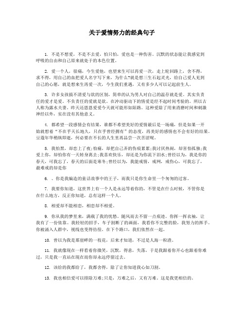 关于爱情努力的经典句子