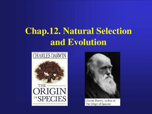 生物学导论biology12