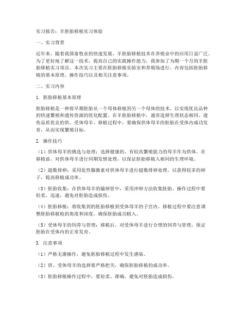 羊胚胎移植实习报告