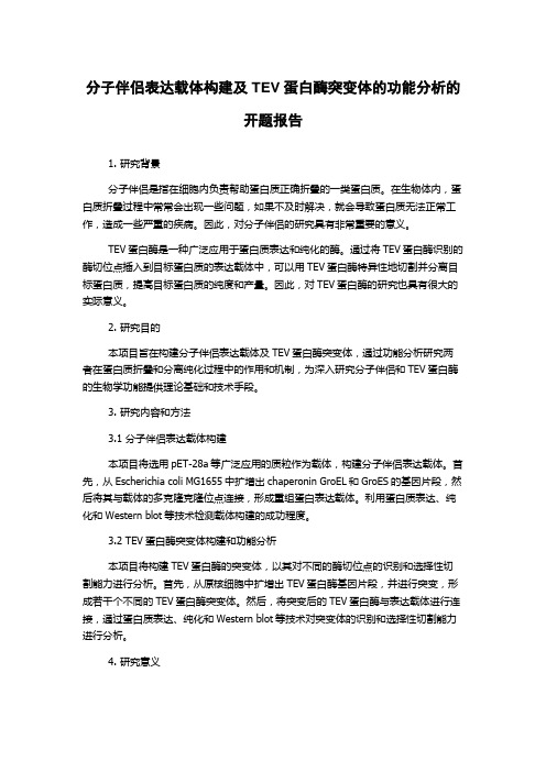 分子伴侣表达载体构建及TEV蛋白酶突变体的功能分析的开题报告