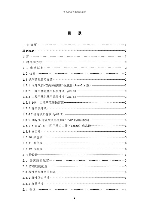 SDS-聚丙烯酰胺凝胶法测定降纤酶纯度2