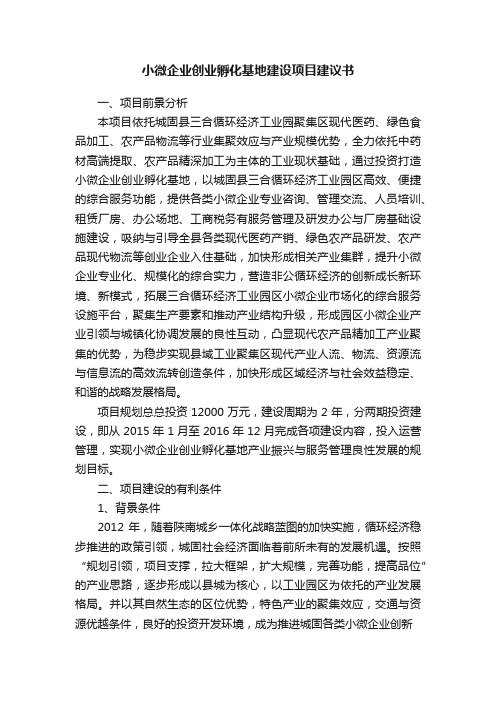 小微企业创业孵化基地建设项目建议书