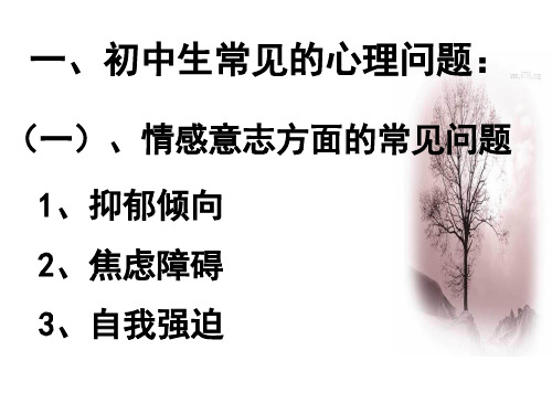 最新心理健康教育理念在班主任工作中的运用PPT课件