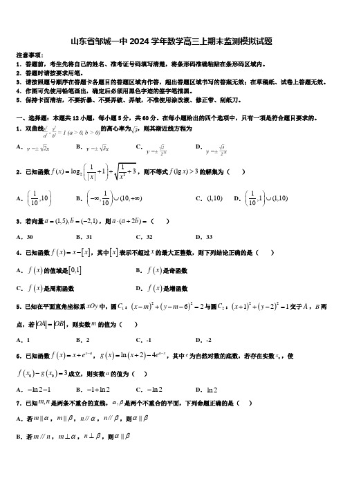 山东省邹城一中2024学年数学高三上期末监测模拟试题含解析