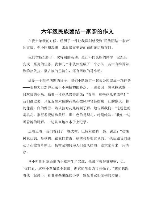 六年级民族团结一家亲的作文