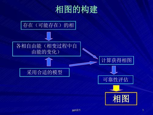 热力学相图的构建和反应平衡  ppt课件