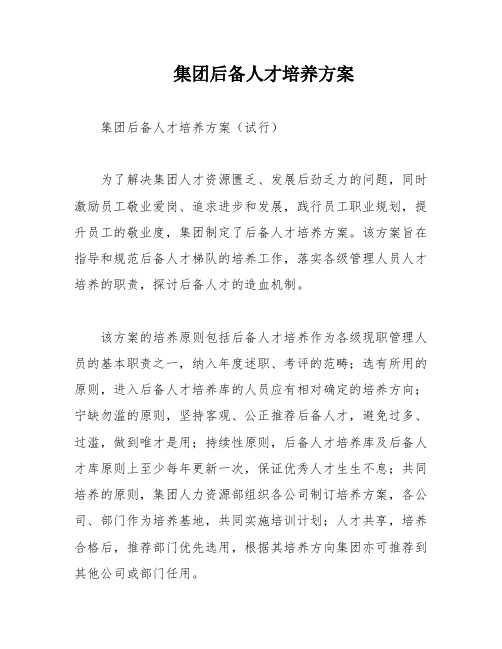 集团后备人才培养方案