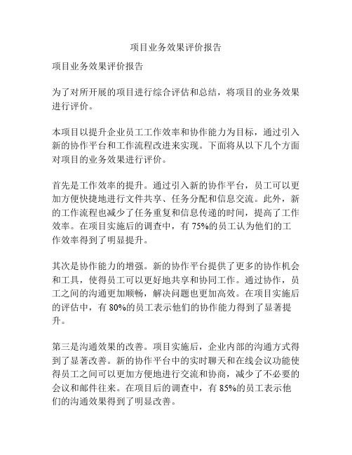 项目业务效果评价报告