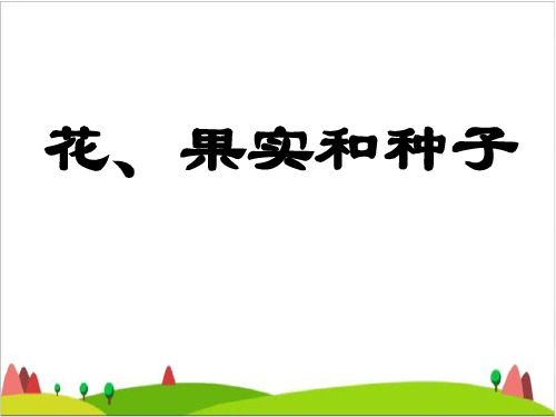四级下册科学课件- 花 果实和种子教科版