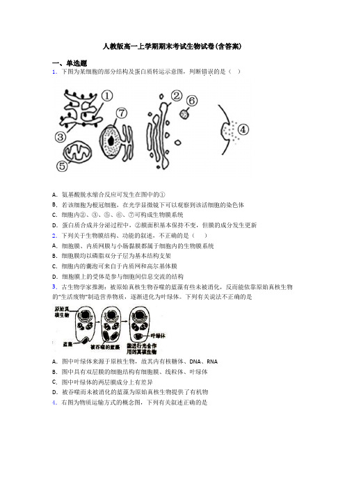 人教版高一上学期期末考试生物试卷(含答案)