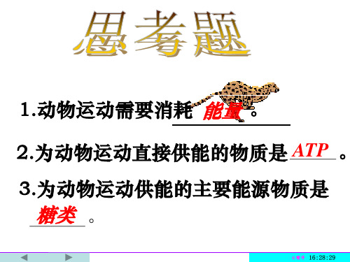 细胞呼吸2