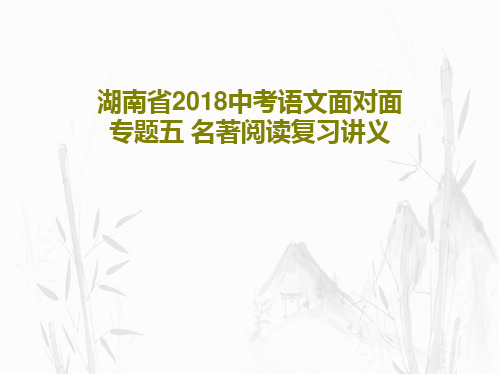 湖南省2018中考语文面对面 专题五 名著阅读复习讲义共41页文档