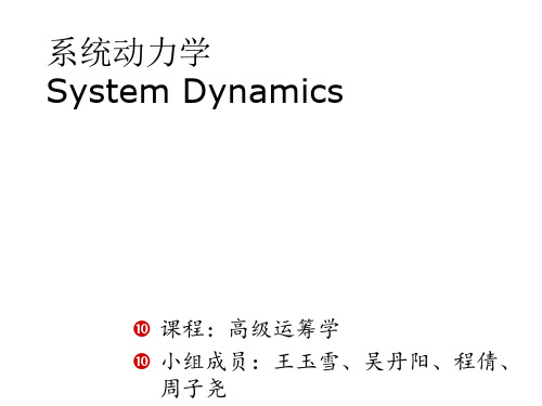 系统动力学的历史与未来PPT课件