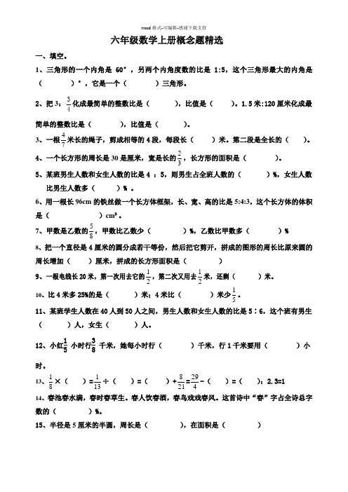 六年级数学上册概念题精选