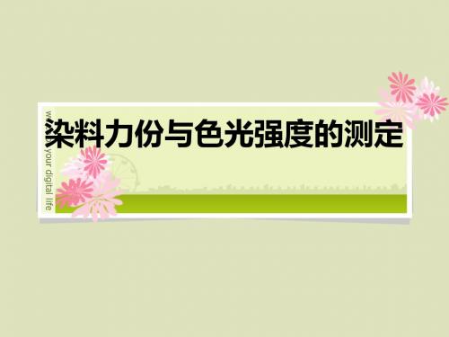 染料力份