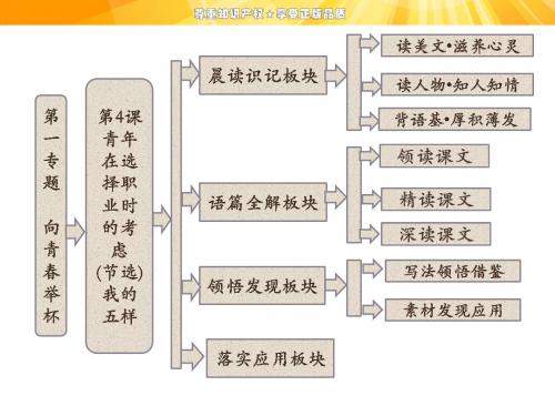 2019第一专题 第4课 青年在选择职业时的考虑(节选) 我的五样教育精品.ppt