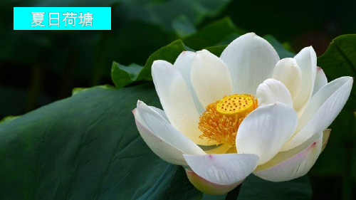 部编版一年级语文下册12课古诗二首