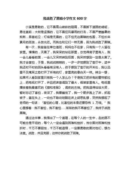 我战胜了黑暗小学作文600字