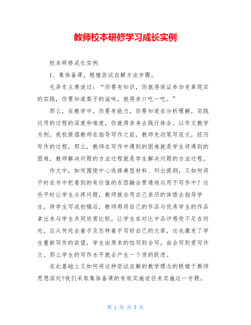 教师校本研修学习成长实例