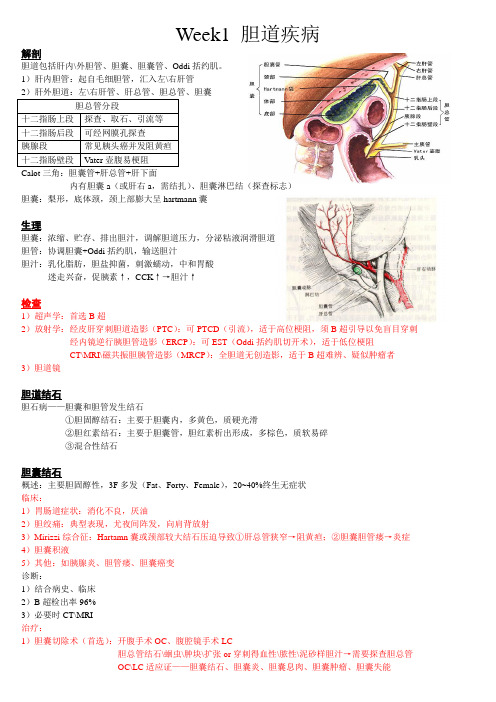 内外科复习资料：外科学