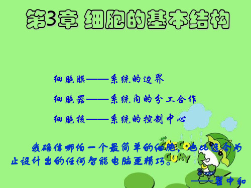 细胞器——系统内的分工合作26 人教课标版精品公开PPT课件