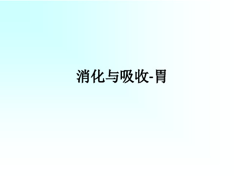 消化与吸收-胃ppt课件