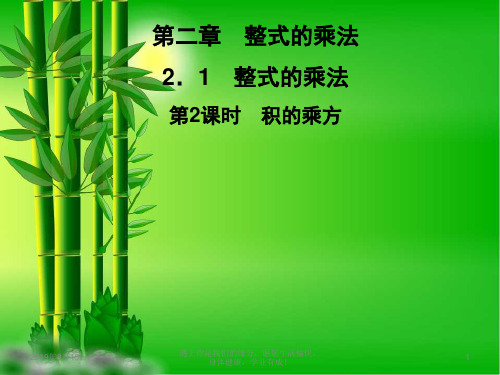 七年级数学下册第2章整式的乘法21整式的乘法21.2幂的乘方与积的乘方第2课时积的乘方习题课件47