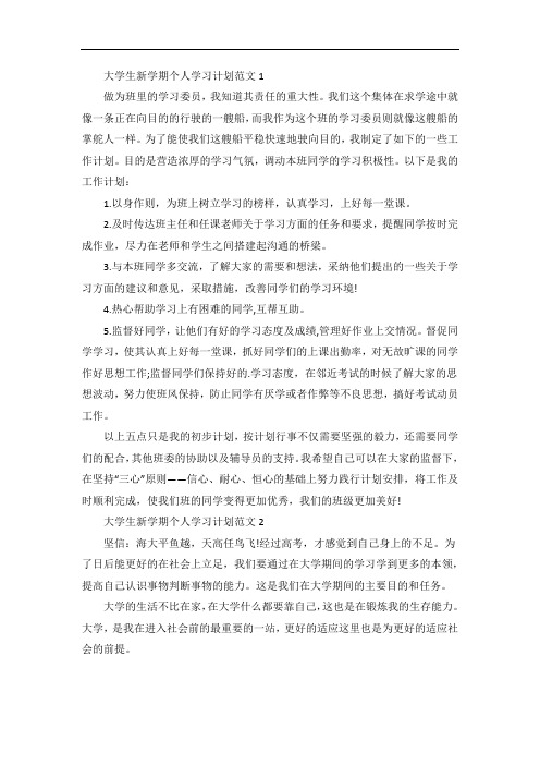 大学生新学期个人学习计划