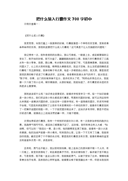 把什么装入行囊作文700字初中